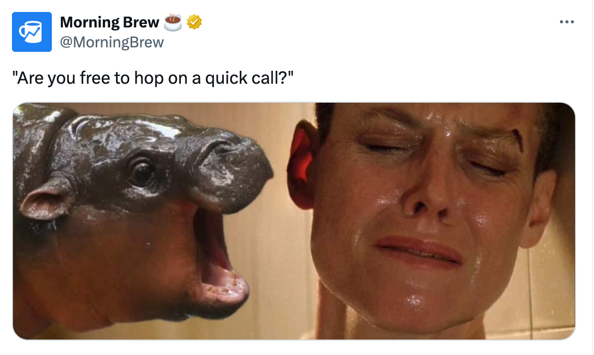 Morning Brew post of screaming hippo